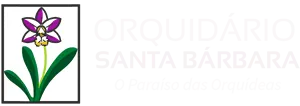orquidariosantabarbara.com