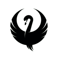  Código de Cupom Teal Swan